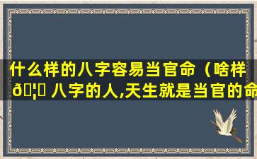 什么样的八字容易当官命（啥样 🦍 八字的人,天生就是当官的命）